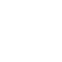 Wohnmobil Icon