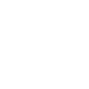 Professionell Icon